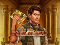 Book of Dead pokie at SpinBit Casino
